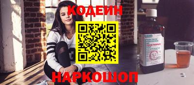 индика Гусев