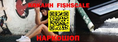 индика Гусев