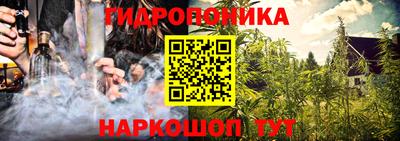 индика Гусев