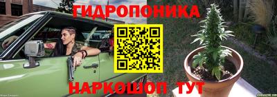 каннабис Гусиноозёрск