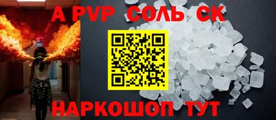 индика Гусев