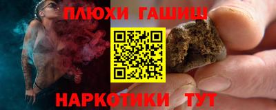 индика Дубна