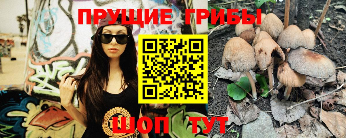 Галлюциногенные грибы Cubensis  Галлюциногенные грибы мицелий  Вход с VPN  Зерноград 