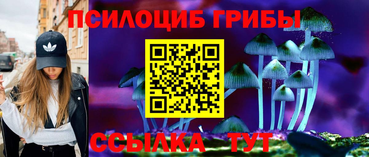 Псилоцибиновые грибы мицелий Зерноград