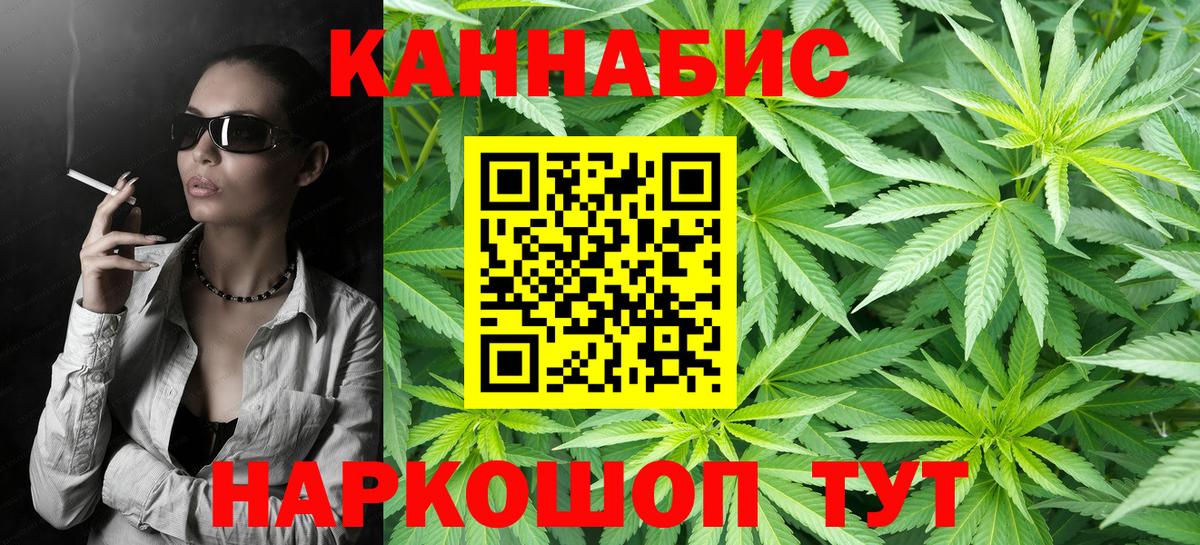Каннабис сатива Зерноград